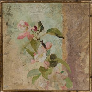 Apfelblüten