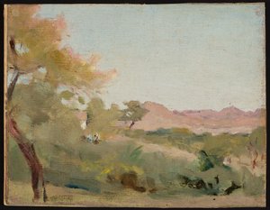 Udaipur - indische Landschaft. Von der Reise nach Indien von Jan Ciągliński
