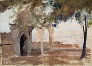 Blick von Istanbul auf Pera. Aus der Reise nach Konstantinopel von Jan Ciągliński