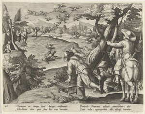 Jagd auf Krähen und Stare