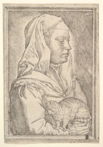 Mädchen mit einer Katze, 1546