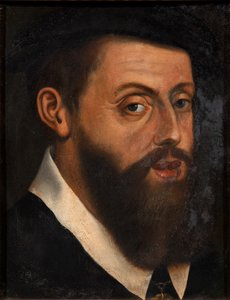 Porträt des Kaisers Karl V. 1500-1558 von Jan Cornelisz. Vermeyen