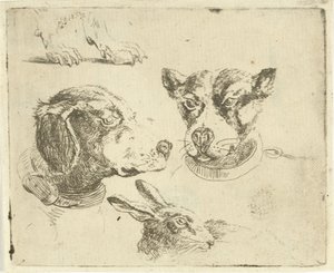 Studienblatt mit zwei Hundeköpfen, Hundepfoten und Hasenkopf von Jan Dasveldt
