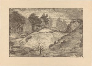 Heide bei Laren