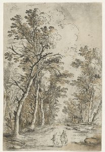 Waldweg von Jan Fouceel