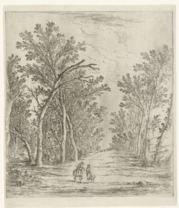 Waldweg von Jan Fouceel