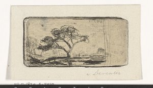 Landschaft mit Baum