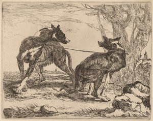 Zwei Windhunde, an der Leine und einander zugewandt von Jan Fyt