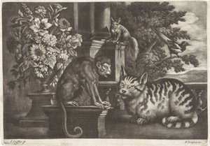 Affe, Katze, Eichhörnchen und Elster