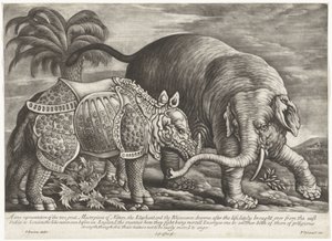 Elefant und Nashorn