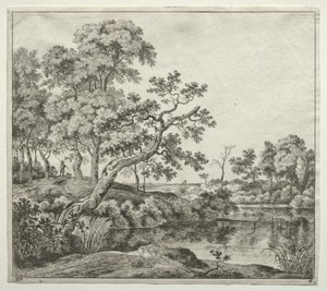 Der gebogene Baum von Jan Hackaert