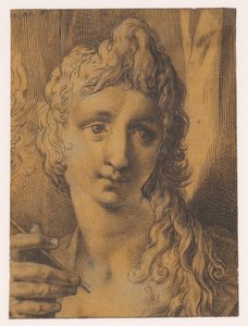 Kopf eines jungen Mannes oder einer jungen Frau, die einen Stichel (?) in der Hand hält von Jan Harmensz. Muller