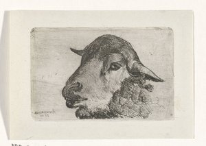 Schafskopf von Jan Heppener