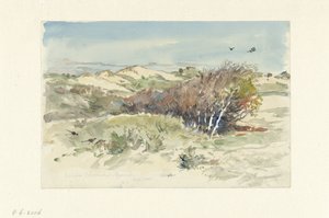 Dünenlandschaft zwischen Bloemendaal und IJmuiden