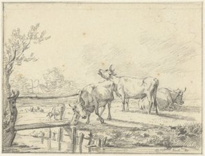 Kühe auf einer Wiese von Jan Kobell (II)