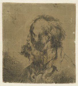 Büste eines alten Mannes mit Bart von Jan Lievens