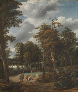 Waldweg
