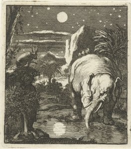 Hase und Elefant mit Vollmond an einer Wasserquelle