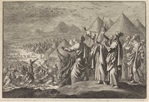 Wachteln in der Wüste von Jan Luyken