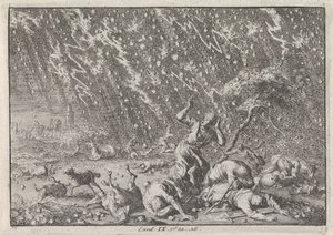 Plage von Hagel und Gewitter von Jan Luyken