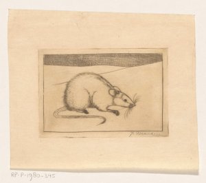 Maus von Jan Mankes (signed by artist)