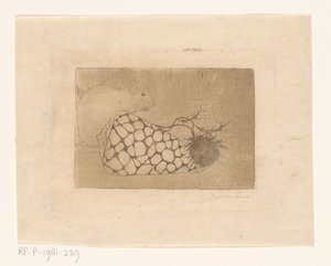 Maus, Muschel und Distel von Jan Mankes (signed by artist)
