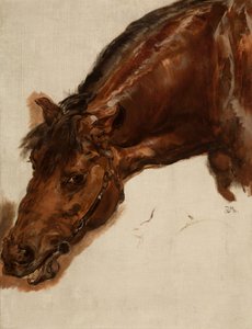 Studie eines Pferdekopfes von Jan Matejko