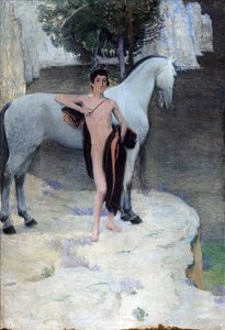 Der schwarze See von Jan Preisler