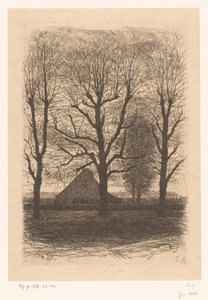 Bauernhof zwischen hohen Bäumen, Ewijkshoeve von Jan Veth