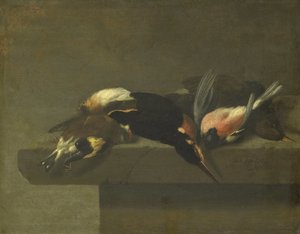 Tote Vögel von Jan Vonck