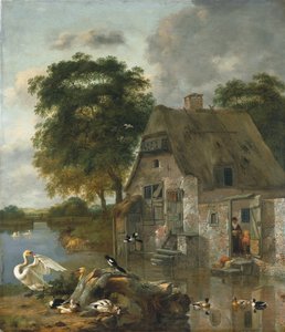 Schwäne, Enten und andere Vögel vor einem Häuschen am Wasser
