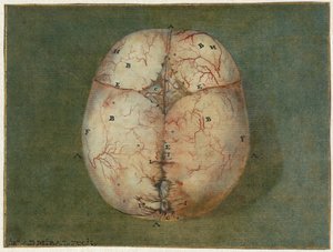 Drucke des Gehirns und des Herzens von Jan l