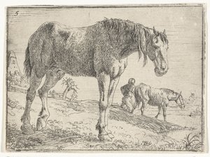 Stehendes Pferd (Landschaften mit Pferden, Serientitel) von Jan van Aken