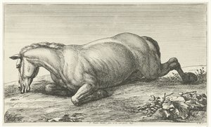 Gesneuveld paard op de buik liggend von Jan van Huchtenburg