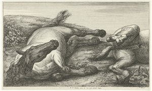 Zwei gefallene Pferde, das linke von vorne gesehen (Gesneuvelde paarden) von Jan van Huchtenburg