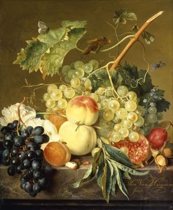 Früchte, Haselnüsse und Stockrosen auf einer Marmorkante von Jan van Huysum