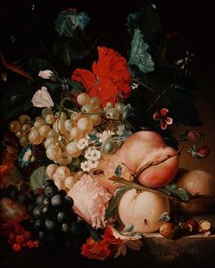 Gemischte Blumen und Früchte mit Insekten auf einem Marmorsockel von Jan van Huysum