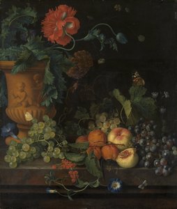Terrakotta-Vase mit Blumen und Früchten von Jan van Huysum