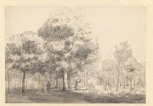 Ansicht des Haarlemmerhout, Haarlem