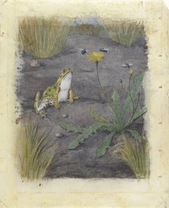 Frosch bei einer Pusteblume mit Fliegen von Jan van Oort
