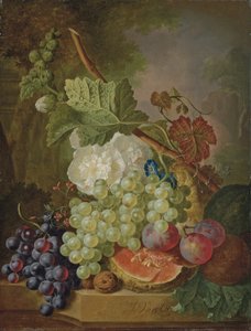 Blumen, Trauben, Pflaumen, Walnüsse und eine Melone auf einem Steinsims von Jan van Os