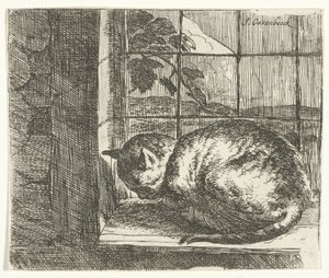 Katze im Fensterrahmen