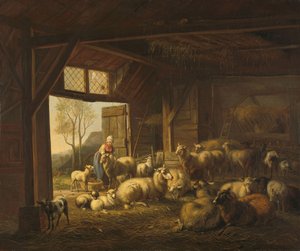 Schafe und Ziegen in einem Stall