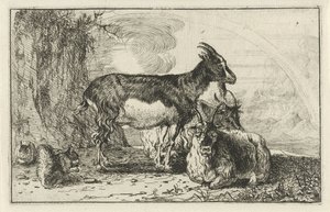 Ziegen (Tiere, Zoographiam) von Jan van den Hecke