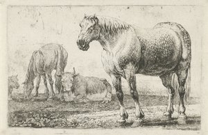 Pferde und Kühe (Serie: Dieren, Zoographiam)