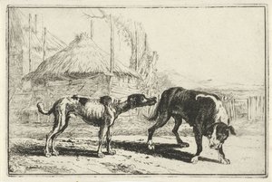 Rüde und Hündin von Jan van den Hecke
