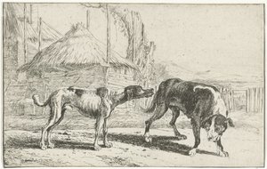 Rüde und Hündin Tiere (Serientitel) Zoographiam (Serientitel)