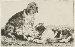 Zwei ruhende Hunde
