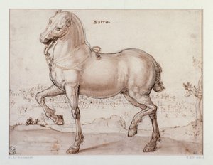 Studie für ein Pferd. Zeichnung von Giovanni Stradano (Jan van der Straet) (1523-1605). Florenz, Gabinetto Disegni e Stampe, Uffizien von Jan van der Straet
