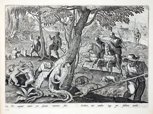 Katzenjagd mit Hunden, Illustration aus 
